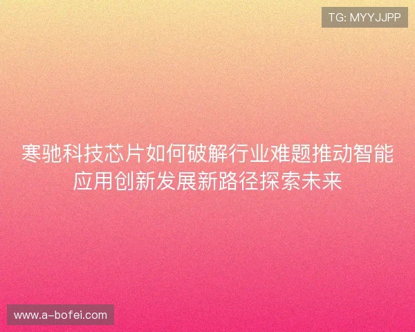 寒驰科技芯片如何破解行业难题推动智能应用创新发展新路径探索未来